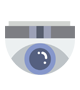Security Company Brentwood